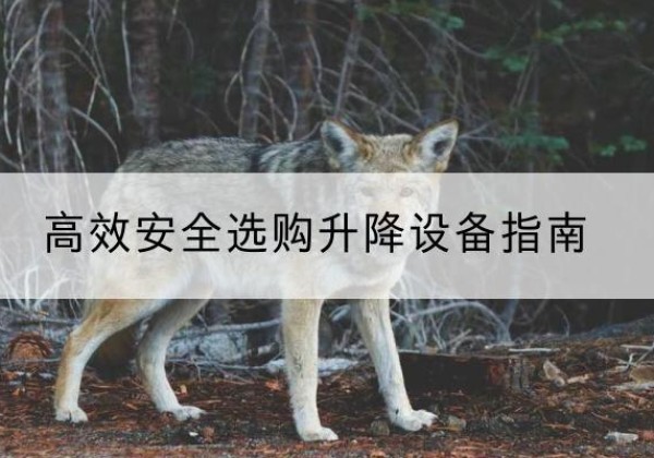 鹰手营子矿升降货梯厂家推荐-*安全选购升降设备指南
