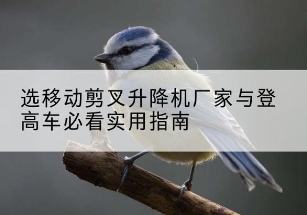 鹰手营子矿电动升降机厂家-选移动剪叉升降机厂家与登高车必看实用指南